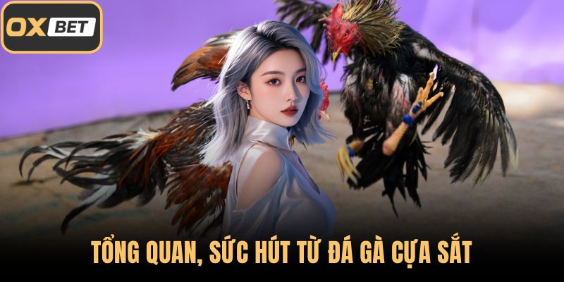 Tổng quan, sức hút từ đá gà cựa sắt